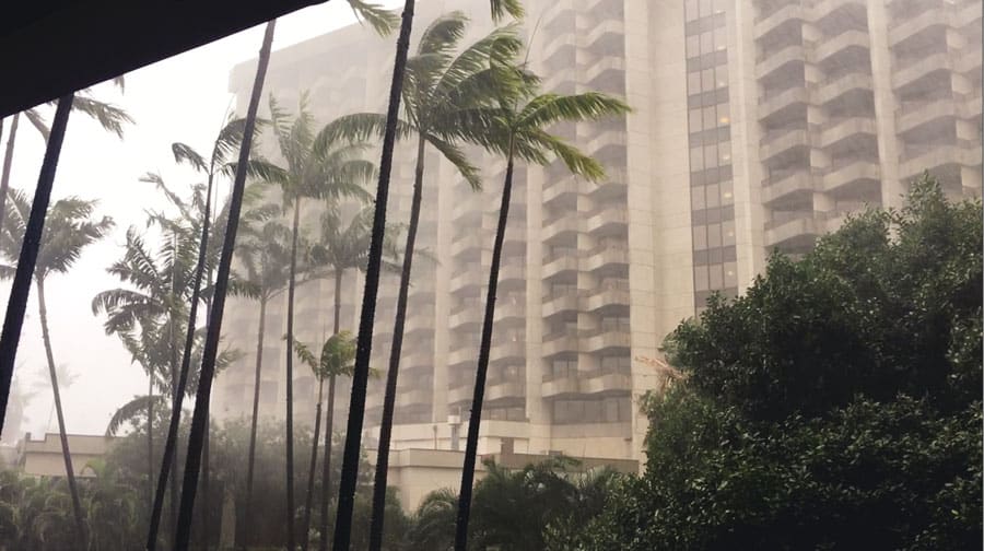 Waikiki Rain