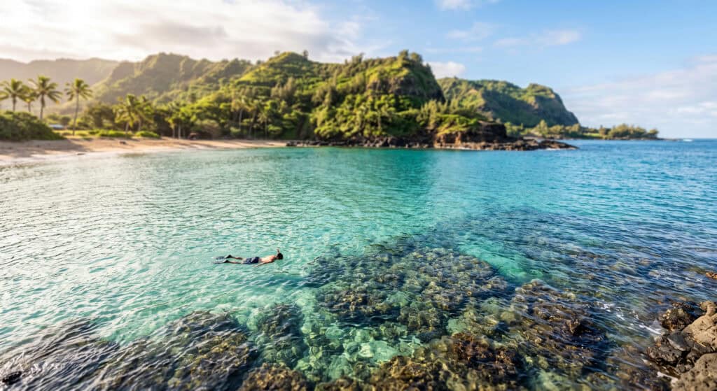 Snorkeler floating over a calm North Shore Oahu reef in summer